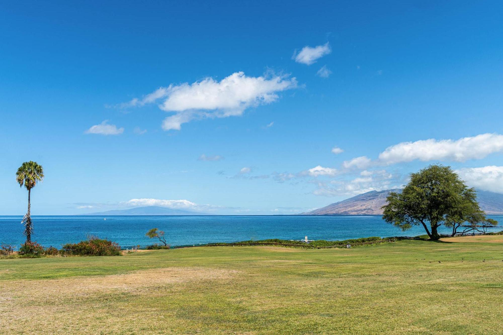 Pacific Shores A-209 Kihei Exteriér fotografie