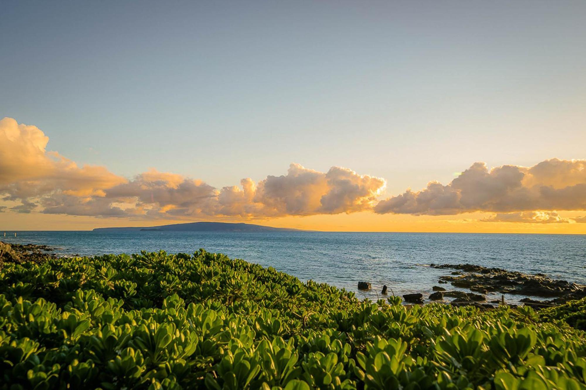 Pacific Shores A-209 Kihei Exteriér fotografie